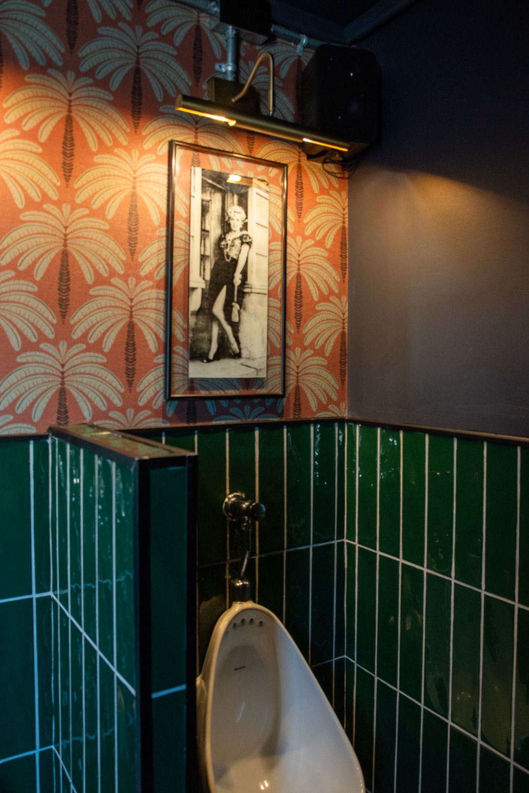 WhatsApp Image 2026-02-01 at 14.14.05